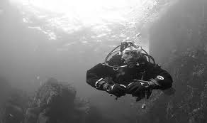 Image result for Diveline