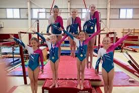 Image result for Forest Of Dean Gymnastics Club