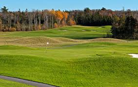 Image result for Avondale Gc
