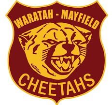 Image result for Mayfield Rugby League Football Club
