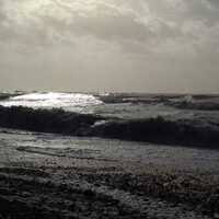 Image result for Hove & Kingsway Bowls Club