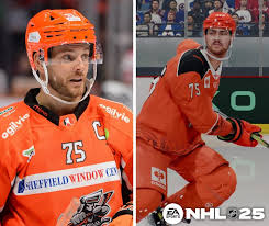Image result for Sheffield Steelers