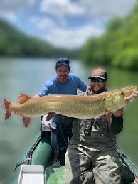 Image result for Chase Bowmen