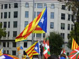 Image result for catalans universals
