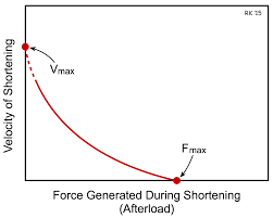 Image result for Velocity