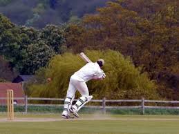 Image result for Aston Rowant Cricket Club