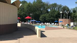 Image result for Dolphins Sheltered & Disabled Swim Club