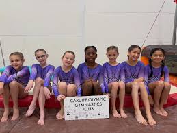 Image result for Cardiff Olympic Gymnastics Club