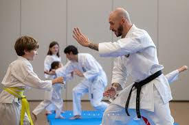Image result for Ynys Mon Shukokai Karate Club, North Wales