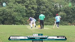 Image result for Milton Cricket Club