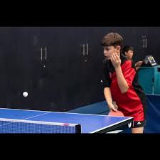 Image result for Scorpions Table Tennis Club
