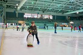 Image result for Milton Keynes Ice Skating Club