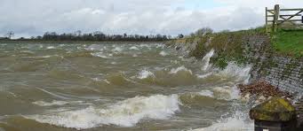 Image result for England Staffordshire Birding Club