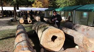 Image result for Tabele de Cubaj Pentru Lemn Rotund tehron