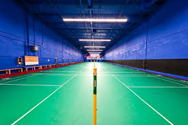 Image result for Fylde Ivc Badminton Club