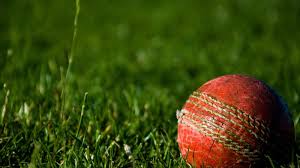 Image result for Stowmarket Cricket Club