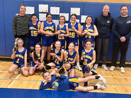 Image result for Aireborough Arrows Basketball team