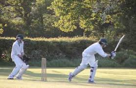 Image result for Worcester Nomads Cricket Club