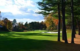 Image result for Ipswich Life Saving Club