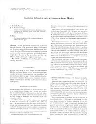 Attēlu rezultāti vaicājumam “Stemonitis foliicola stalked”