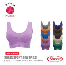 Attēlu rezultāti vaicājumam “Sorex sp.”