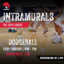 Image result for York University Dodgeball Club