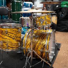 Attēlu rezultāti vaicājumam “Diderma radiatum young”