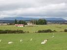 Agriculture near Coldwell Farm on the Black Isle. - via Daymix