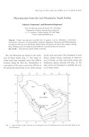 Attēlu rezultāti vaicājumam “Craterium leucocephalum var. scyphoides stalked”