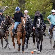 Image result for Weybridge Equestrian Centre