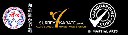 Image result for Haslemere Karate Club