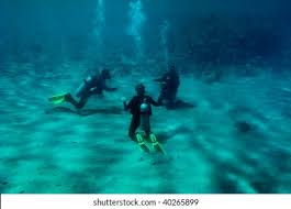 Image result for Three Seas Diving