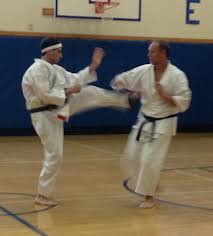Image result for Redhill Karate Association