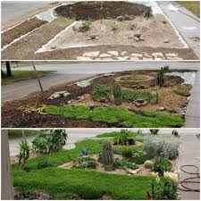 Attēlu rezultāti vaicājumam “Herniaria glabra flower”