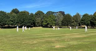 Image result for South Weald Cricket Club