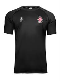 Image result for Chard Cricket Club