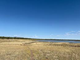 Image result for Ashurst WI*