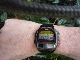 Image result for casio bp-100