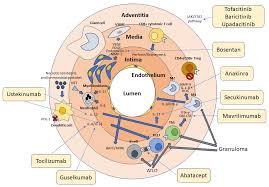 Image result for GCA