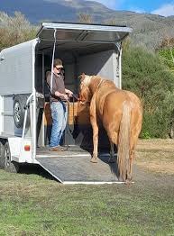 Image result for Winchester Riding Club