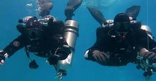 Image result for Robin Hood Dive School