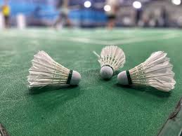 Image result for The Three B`s Badminton Club