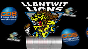 Image result for Llantwit Lions