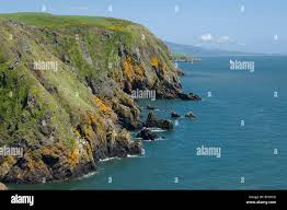 Image result for Solway