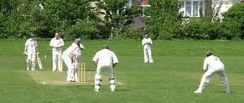 Image result for Brodsworth Main Cricket Club