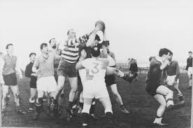 Image result for Orkney Rugby Football Club