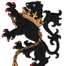 Image result for Bronwydd Cricket Club