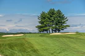 Image result for Portsmouth Cc