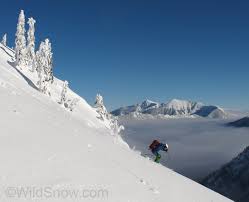 Image result for skiptondivers