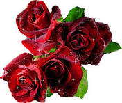 images?q=tbn:ANd9GcTagMy8ekj5UDuCvkGdFSKbbULXsSYg_8MgVyVqAkUXTcJu6vWjYpacPrhcnQ